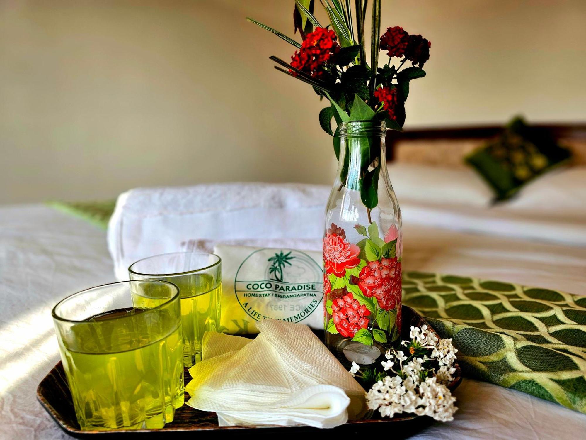 Coco Paradise Homestay Shrīrangapattana المظهر الخارجي الصورة